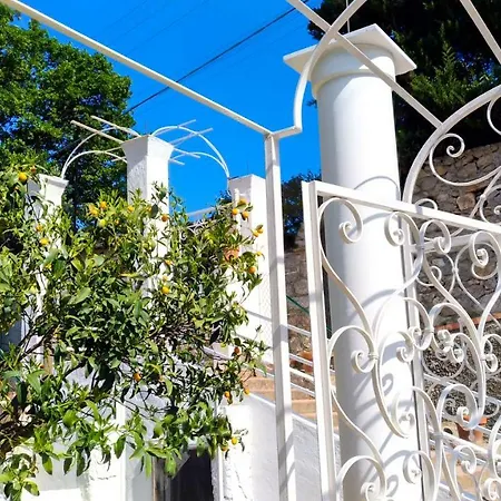 Don Raffae 卡普里