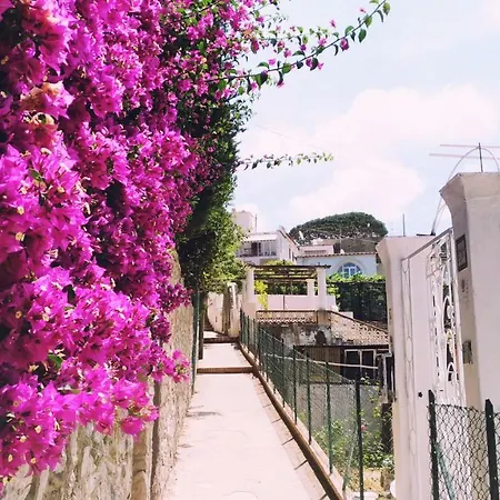 بيت ضيافة Don Raffae كابري