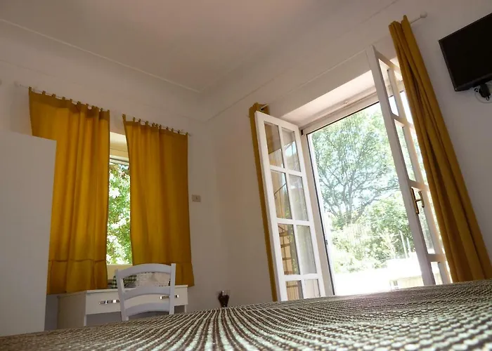 Don Raffae 招待所