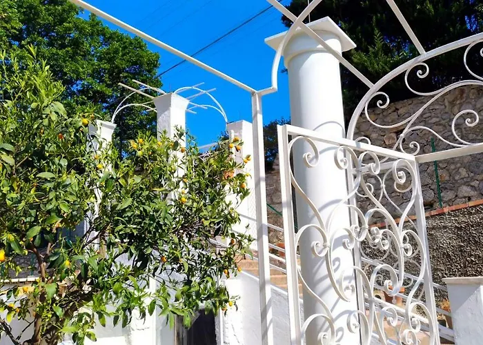 Don Raffae 卡普里