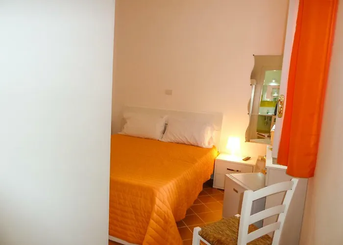 招待所 Don Raffae *