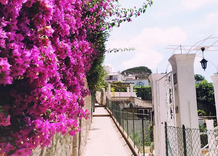 Konukevi Don Raffae Capri