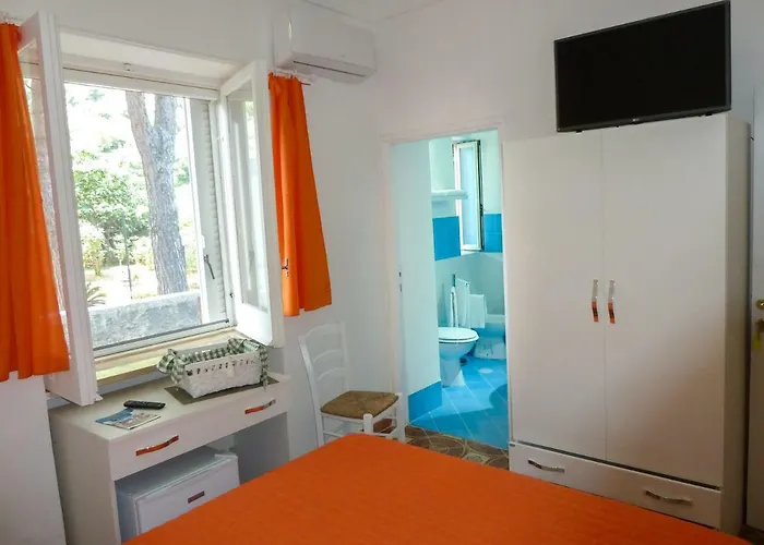 招待所 Don Raffae *