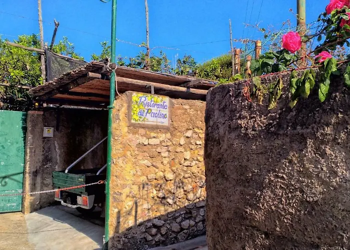 Don Raffae 招待所