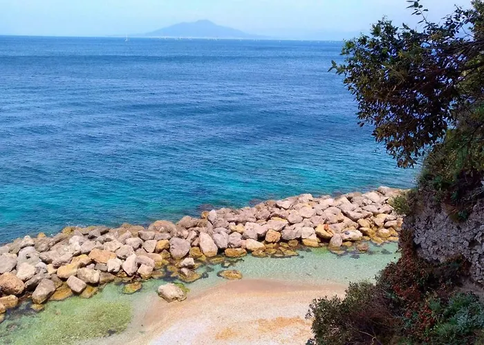 Don Raffae 招待所 *