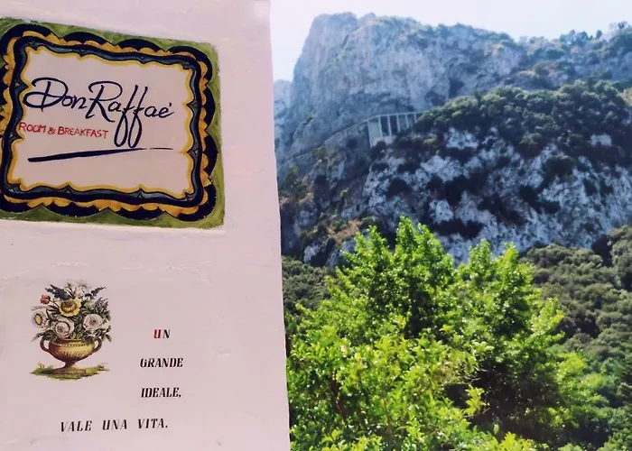 Don Raffae 卡普里